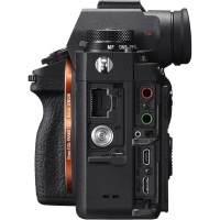 Цифровой фотоаппарат Sony Alpha 9 body black (ILCE9.CEC) изображение 5