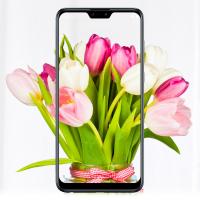 Мобильный телефон ASUS ZenFone Max Pro (M2) ZB631KL 6/64 GB Midnight Blue (ZB631KL-4D067EU)
