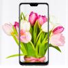 Мобильный телефон ASUS ZenFone Max Pro (M2) ZB631KL 6/64 GB Midnight Blue (ZB631KL-4D067EU)