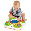 Развивающая игрушка Chicco Sensory Table (10154.00) изображение 5