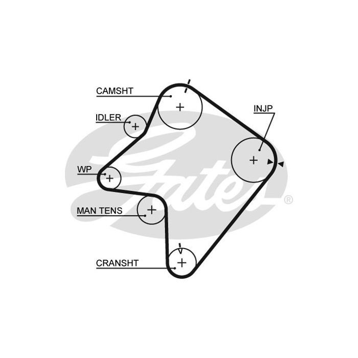 Ремінь ГРМ Gates 5354XS