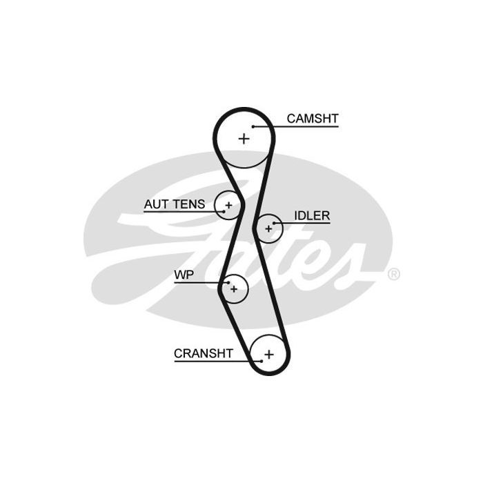 Ремень ГРМ Gates 5606XS