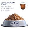 Сухий корм для кішок Club 4 Paws Преміум. Підтримка здоров'я сечовидільної системи 14 кг (4820083909375) зображення 3