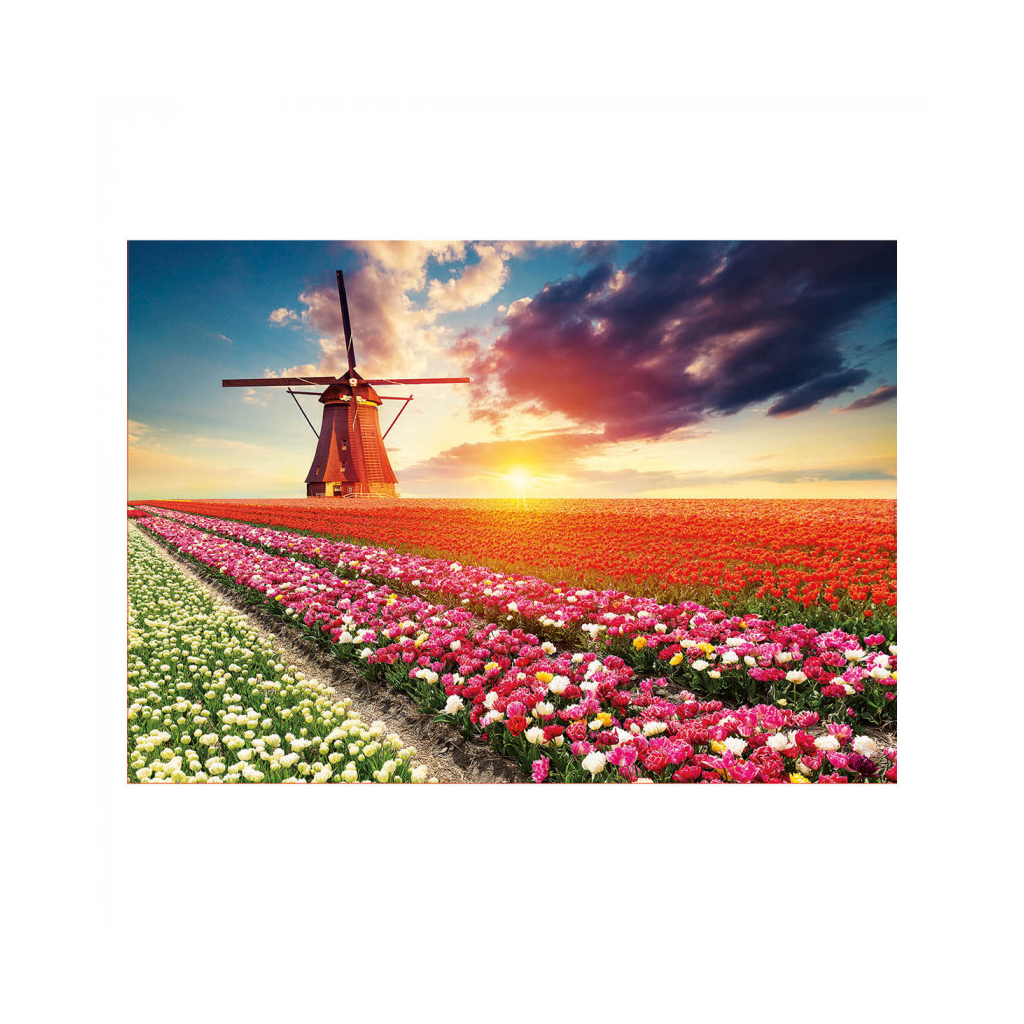 Пазл Educa Пейзаж с тюльпанами 1500 элементов (6425268) изображение 2