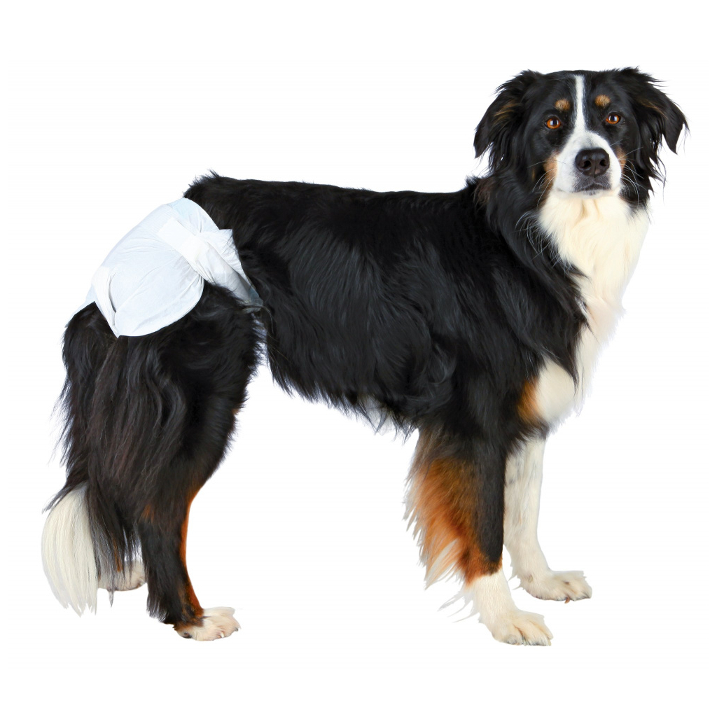Подгузники для животных Trixie для собак (сучок) XL 40-58 см 12 шт (4011905236360) изображение 2