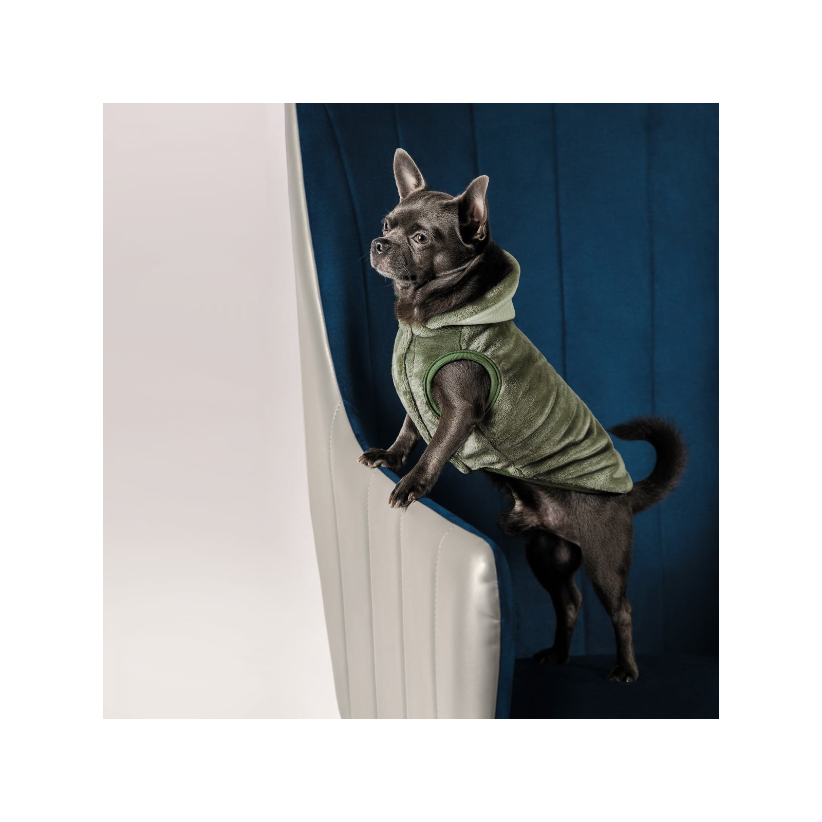 Жилет для тварин Pet Fashion LOUIS M (4823082427505) зображення 3