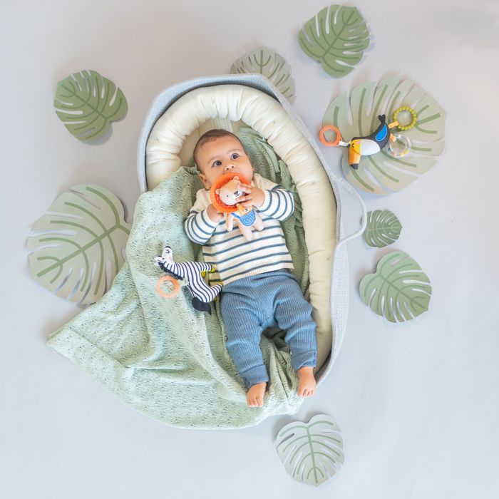 Іграшка на коляску Taf Toys колекції Саванна – Тукан Тукі (12695) зображення 2