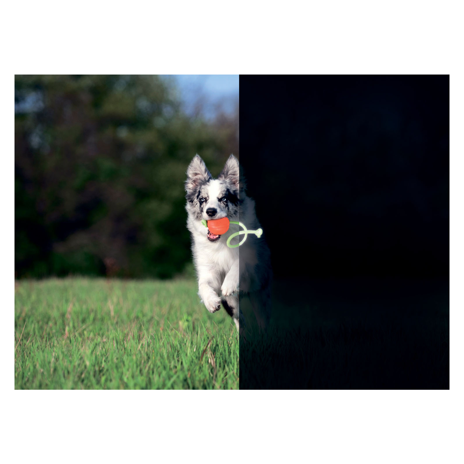 Игрушка для собак Liker Lumi Мячик со светонакопительным шнурком 7 см (6283) изображение 4