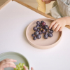 Тарелка детская MinikOiOi Basics-Plate (Powder Grey) (101050104) изображение 3