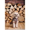 Жилет для тварин Pet Fashion Hardy S (4823082437528) зображення 10
