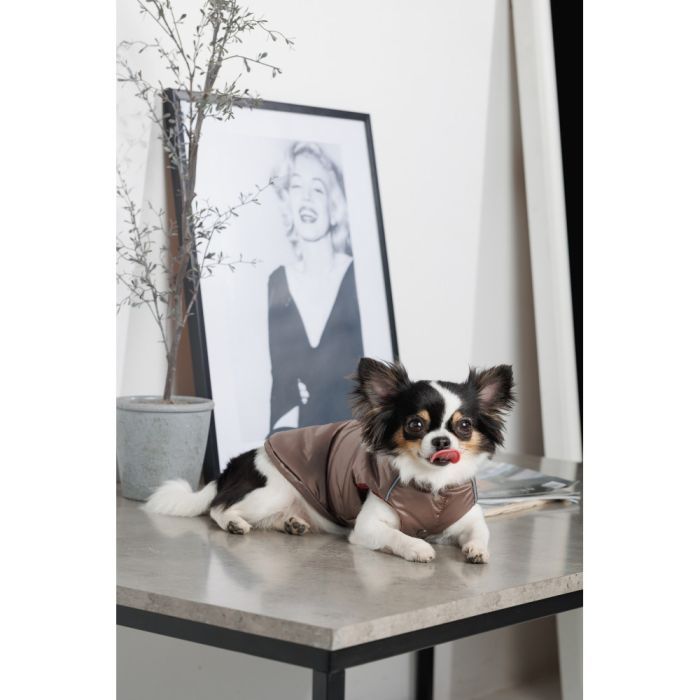 Жилет для тварин Pet Fashion Hardy S2 (4823082437504) зображення 7