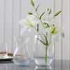 Ваза Trend Glass Lyra 20 см (35503) зображення 3
