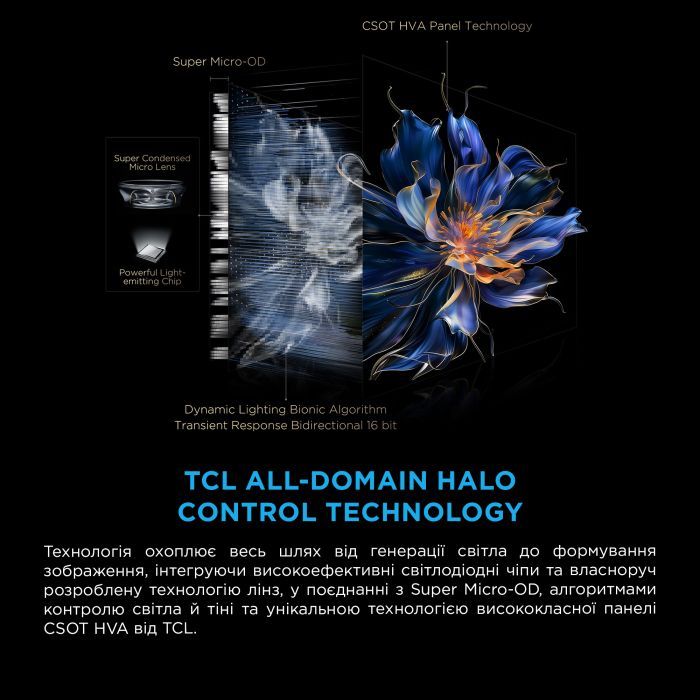 Телевизор TCL 98X11K изображение 9