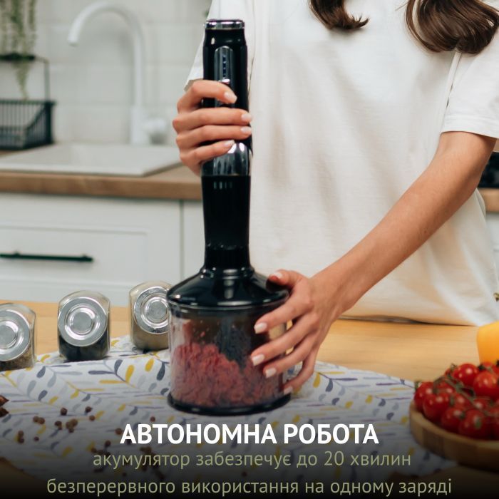 Блендер QUIN RHB-301 изображение 2