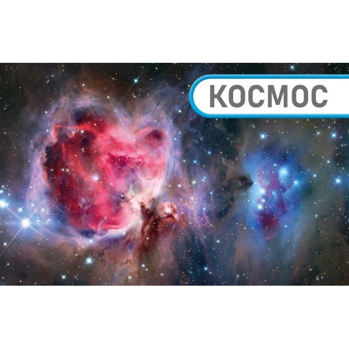 Книга Енциклопедія про все. Наш світ у малюнках Ранок (9786170987754) зображення 5