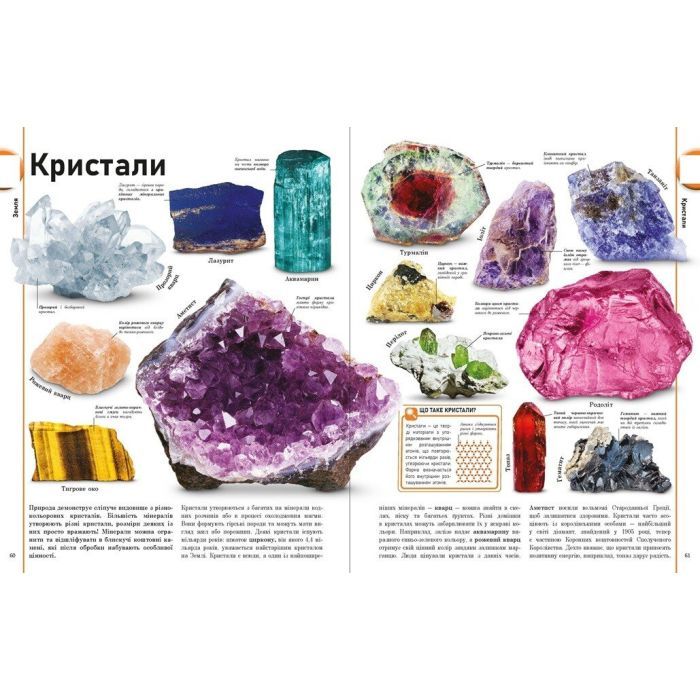 Книга Енциклопедія про все. Наш світ у малюнках Ранок (9786170987754) зображення 9