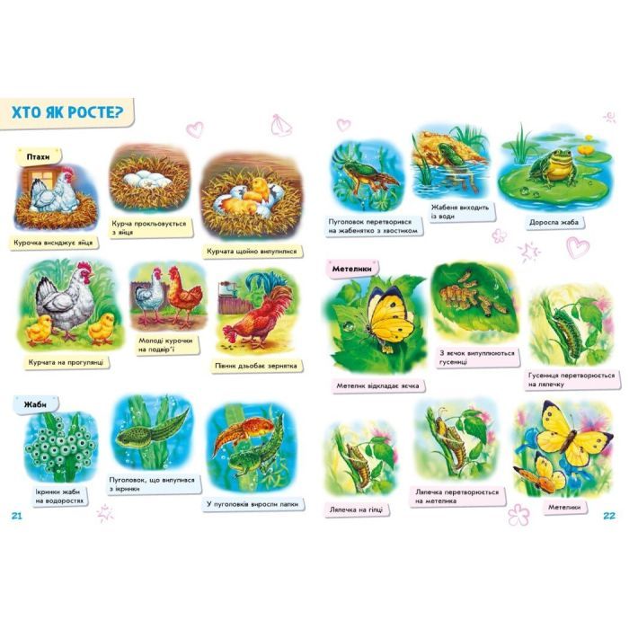 Книга Малюкові про все на світі Ранок (9786170986092) изображение 7