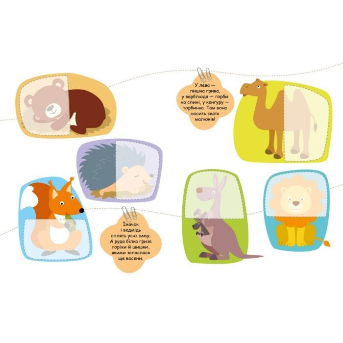Книга Тварини. Шукаємо половинки - Альона Пуляєва Ранок (9789667512637) зображення 3