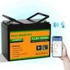 Батарея LiFePo4 Eco-Worthy 12.8V 100Ah LCD (Eco-Worthy-12100bt)