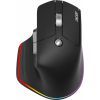 Мышка Acer Easy Fit Wireless Black (HP.EXPBG.021)