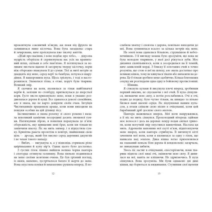 Книга Книга Вогню - Мішель Кенні Фабула (9786175223871) зображення 10