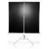 Проекционный экран T85NWS1 Elite Screens изображение 2