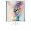 Проекционный экран T85NWS1 Elite Screens