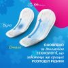 Ежедневные прокладки Carefree Cotton Fresh 34 шт. (3574661064307/3574661565071/8002110312365) изображение 8