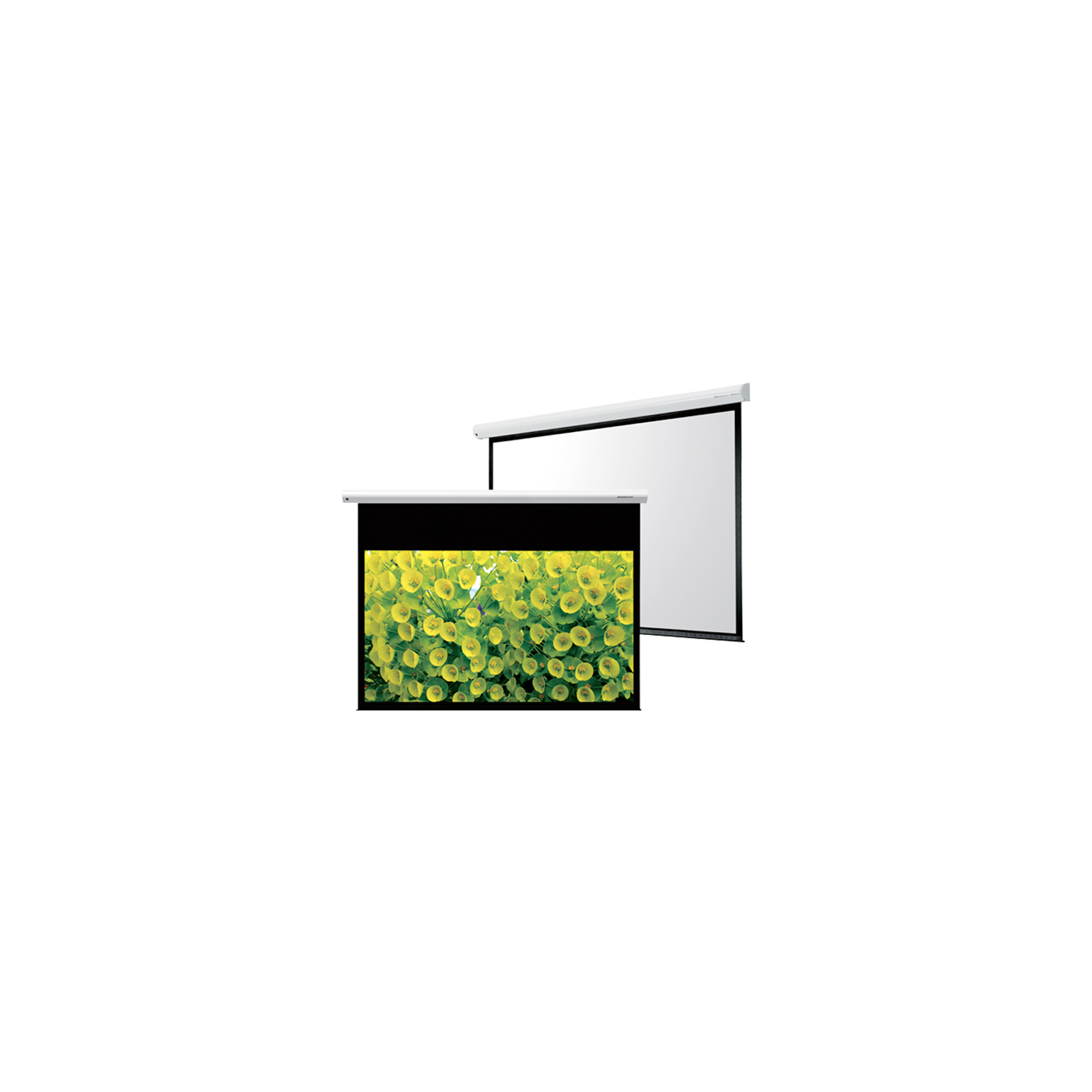Проекционный экран GrandView CB-MP120(4:3)WM5
