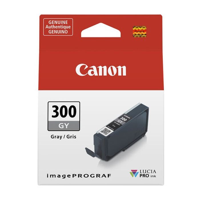 Картридж Canon PFI-300 Grey (4200C001) изображение 3