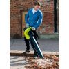 Пылесос садовый Ryobi RBV3000CESV (5133002190) изображение 6