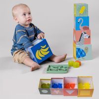 Розвиваюча іграшка Taf Toys cортер-пірамідка Савана Кубики Африка (12725) зображення 7
