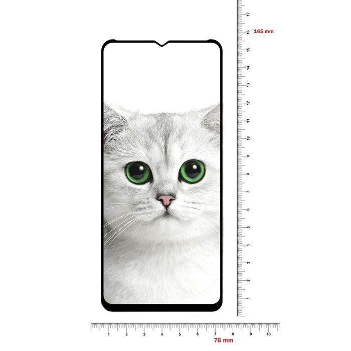 Стекло защитное BeCover Realme C21Y Black (706904) изображение 2