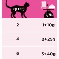 Влажный корм для кошек Purina Pro Plan Veterinary Diets UR Urinary при мочекаменной болезни. С лососем 10x85г (7613035613249) изображение 5