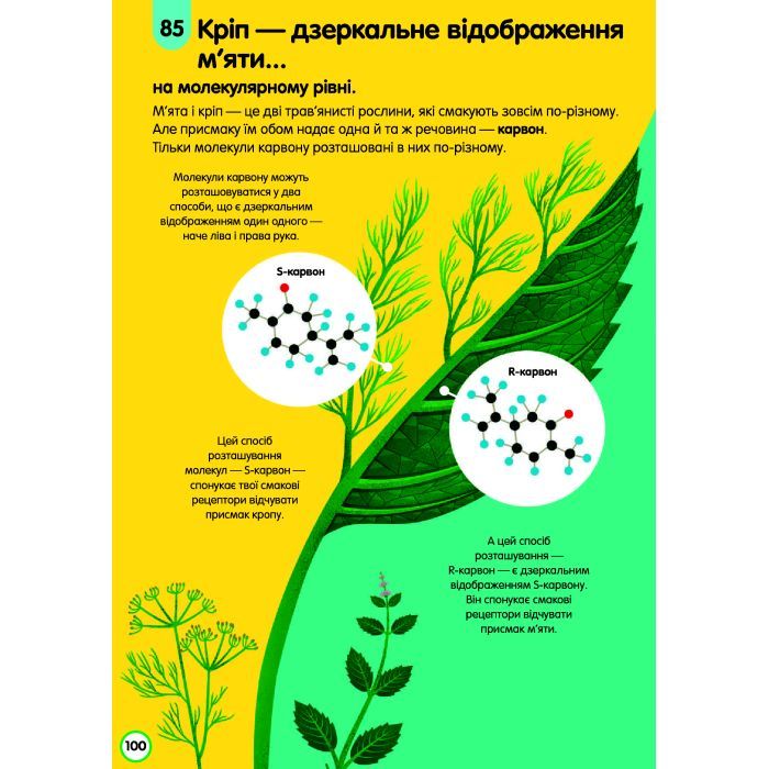 Книга 100 фактів про їжу #книголав (9786177820399) изображение 8