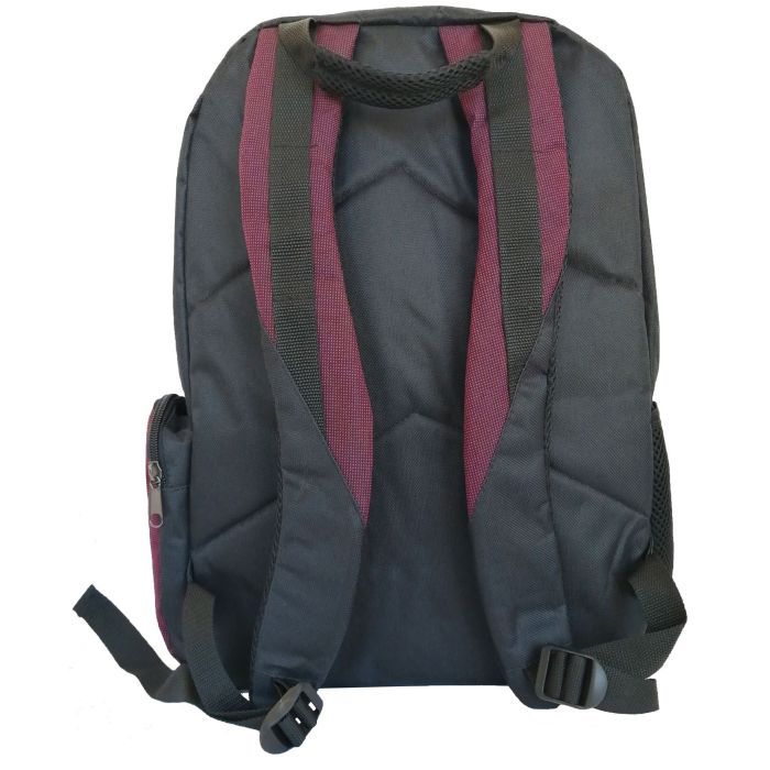 Рюкзак для ноутбука LNT 15.6" BN115 (LNT-BN115G-RD) изображение 2
