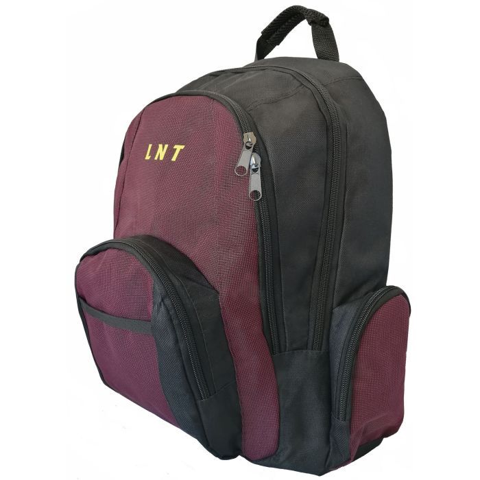 Рюкзак для ноутбука LNT 15.6" BN115 (LNT-BN115G-RD) изображение 4