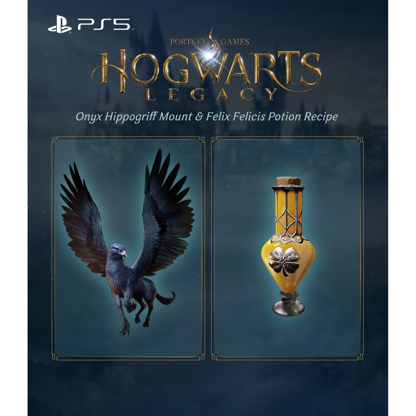Игра Sony Hogwarts Legacy, BD диск (5051895413425) изображение 12
