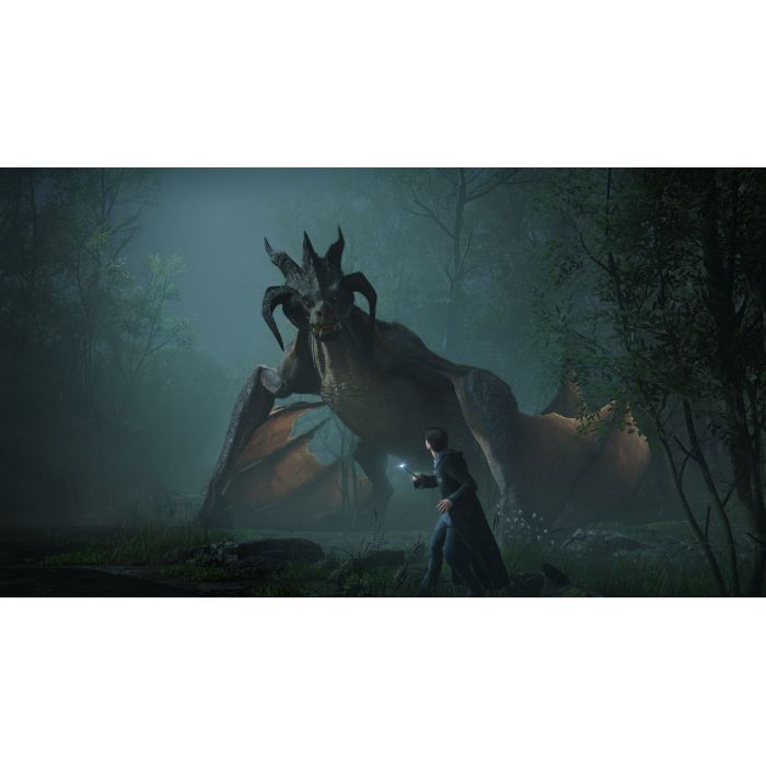 Игра Sony Hogwarts Legacy, BD диск (5051895413425) изображение 4