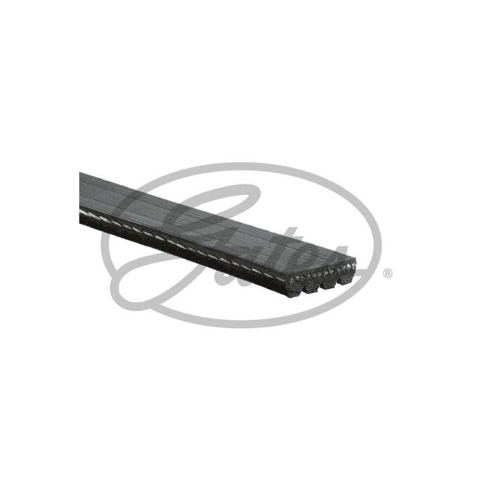 Поліклиновий ремінь Gates 4PK813 зображення 2