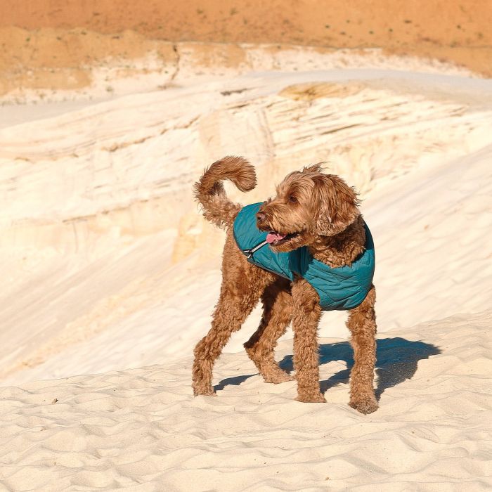 Жилет для тварин Pet Fashion E.Vest морська хвиля S-M (4823082424146) зображення 3
