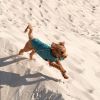 Жилет для тварин Pet Fashion E.Vest морська хвиля S-M (4823082424146) зображення 4