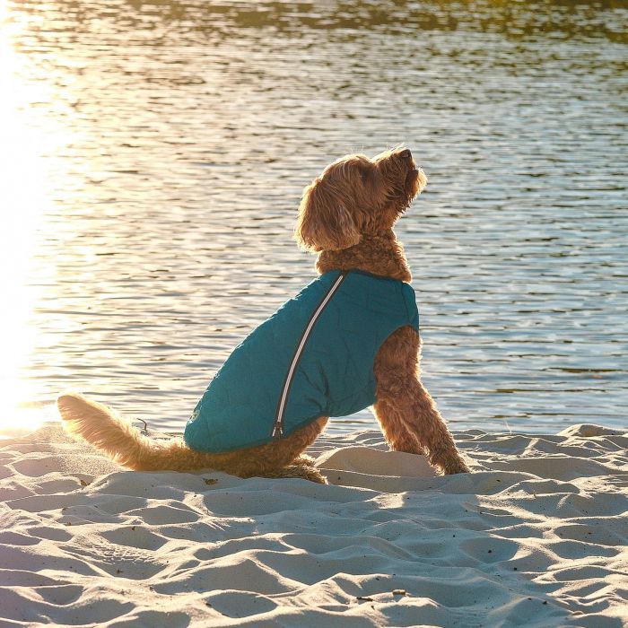 Жилет для тварин Pet Fashion E.Vest морська хвиля S-M (4823082424146) зображення 6