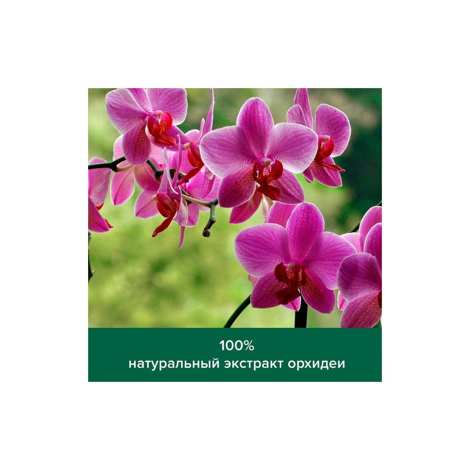 Гель для душа Palmolive Натурэль Роскошная мягкость Экстракт черной орхидеи с увлажняющим молочком 450 мл (8718951526921) изображение 5