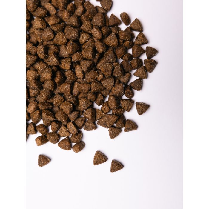 Сухий корм для собак Savory All Breed Sterilised rich in Fresh Turkey 1 кг (4820232631492) зображення 3