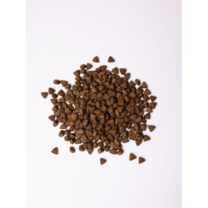 Сухий корм для собак Savory All Breed Sterilised rich in Fresh Turkey 1 кг (4820232631492) зображення 4