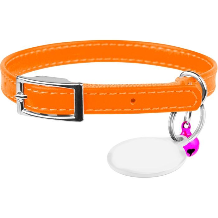 Ошейник для животных WAUDOG Glamour с QR паспортом Д 22-30 см голубой (32482)