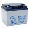 Батарея к ИБП Ritar EV12-45, 12V 45Ah (EV12-45)