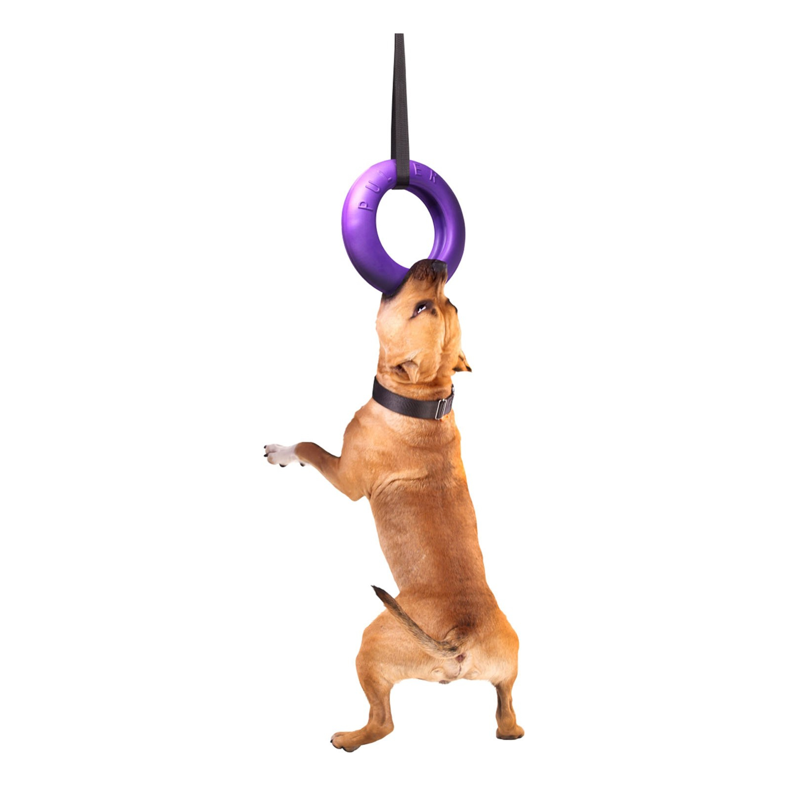 Игрушка для собак Puller Maxi 30 см (6492) изображение 3