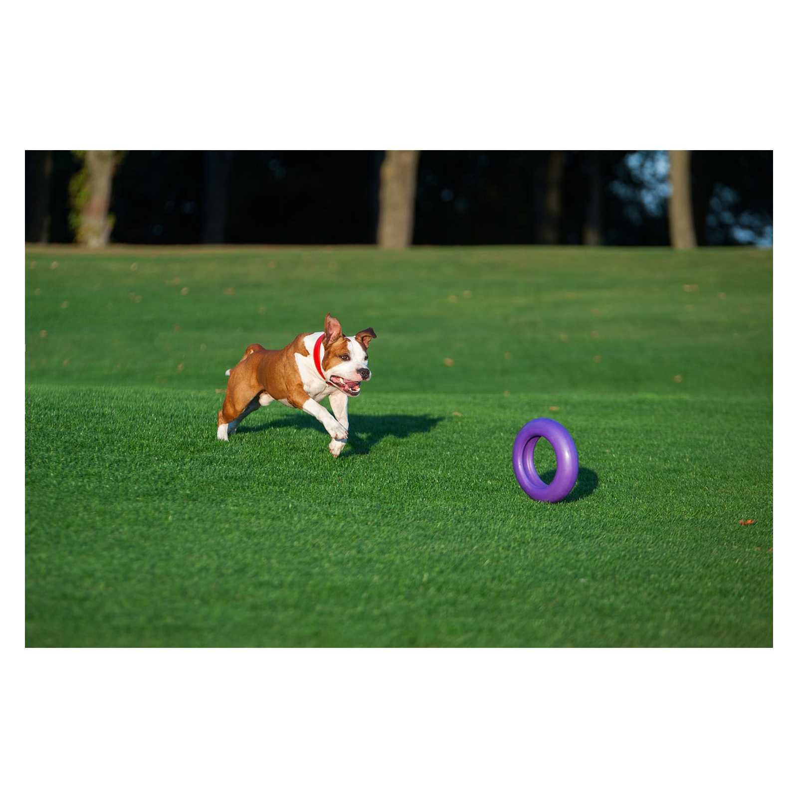 Игрушка для собак Puller Maxi 30 см (6492) изображение 4